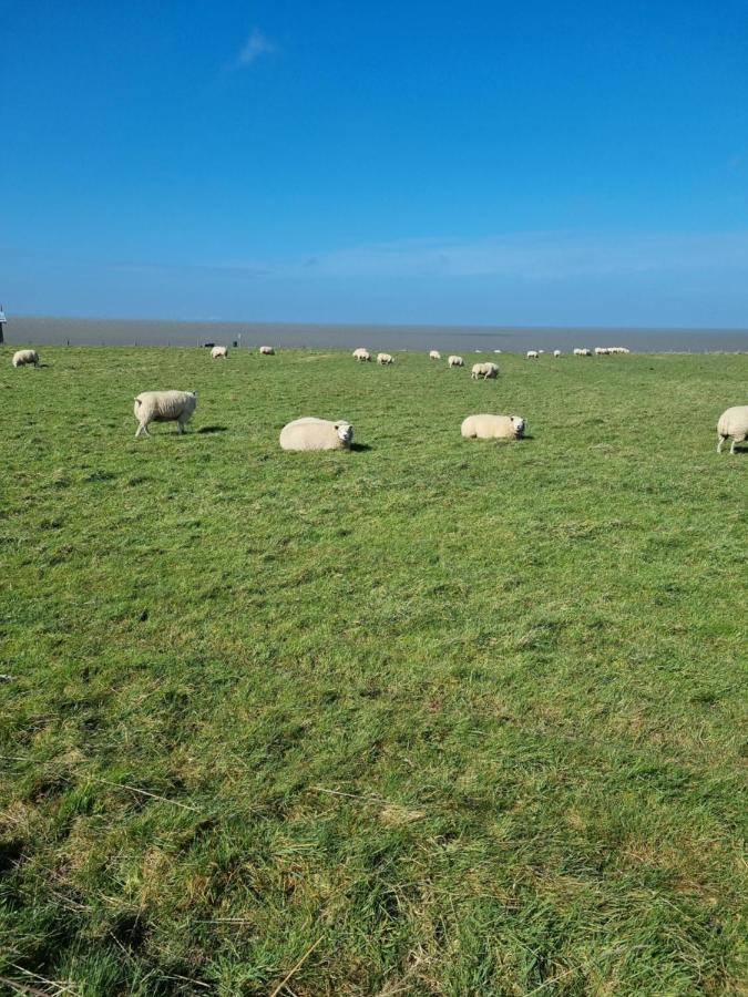 Meerblick Wattenmeer ,50M Vom Meer,Strand 300M Westerland Dış mekan fotoğraf